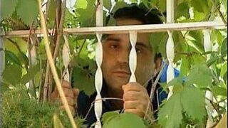 petra lamas - porn video