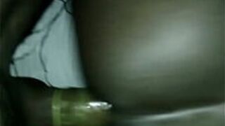 getting some pussy from the back - porn video