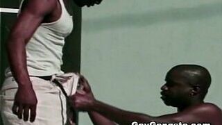 Hot black guys by the Pool - porn video